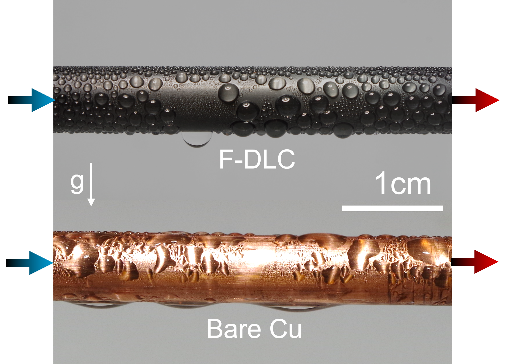 Pure Steam Condensation of Hydrophobic and Hydrophilic Surfaces