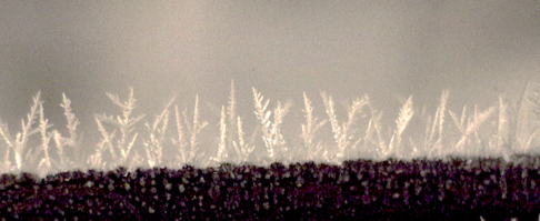 Frost Formation on a Functional Surface